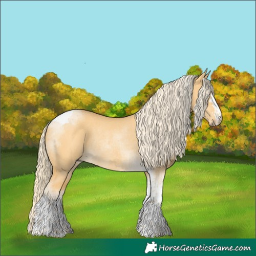 Horse Color:Palomino Dun Tobiano Rabicano 