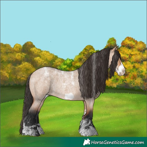 Horse Color:Powder White Bay Roan Dun Frame Rabicano 