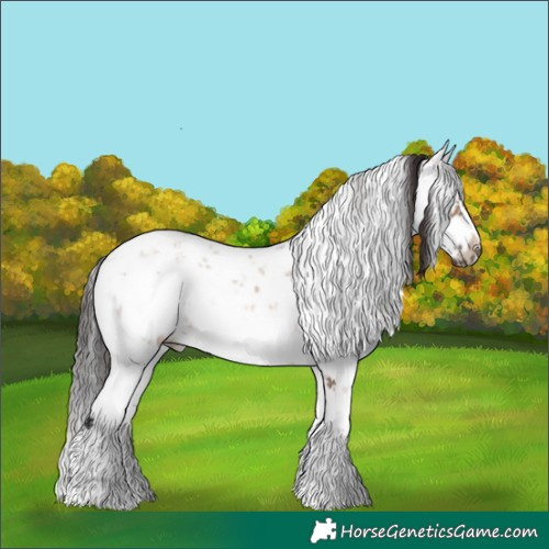 Horse Color:White Spotted Brown Dun Sabino Frame Rabicano 