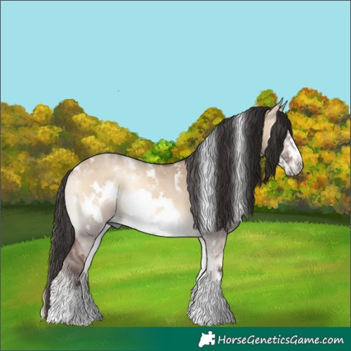Horse Color:Powder White Brown Onyx Sabino Frame Rabicano 