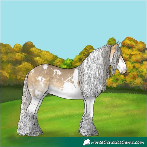 Horse Color:White Spotted Silver Buckskin Dun Splash Rabicano 