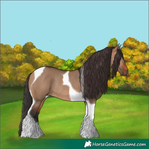 Horse Color:Bay Dun Tobiano Rabicano 