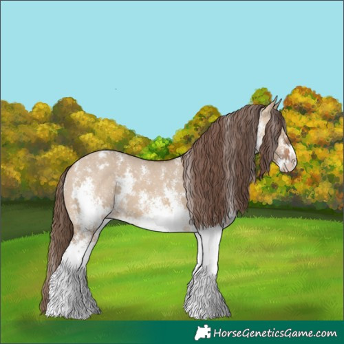 Horse Color:White Spotted Bay Dun Varnish Rabicano 