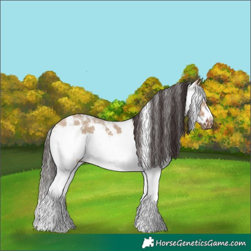 Horse Color:White Spotted Bay Dun Frame Rabicano 