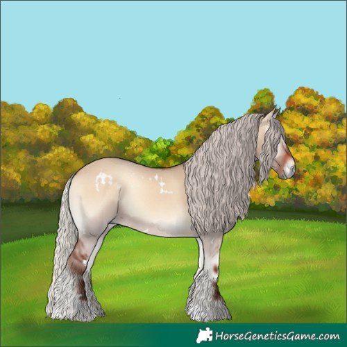 Horse Color:White Spotted Silver Brown Onyx Rabicano 