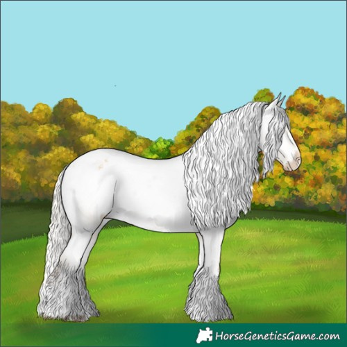 Horse Color:White Spotted Silver Buckskin Dun Sabino Appaloosa Rabicano 