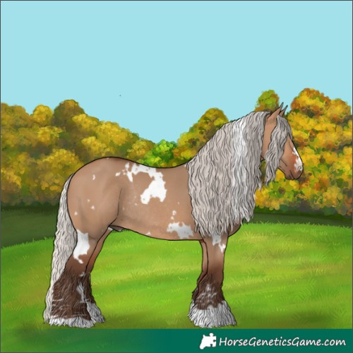 Horse Color:White Spotted Silver Brown Dun Rabicano 