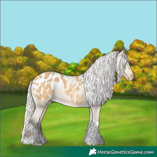 Horse Color:Silver Buckskin Dun Tobiano Appaloosa Rabicano 