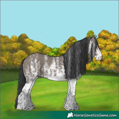 Horse Color:White Spotted Grullo Rabicano 
