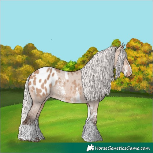 Horse Color:Silver Bay Dun Sabino Tobiano Appaloosa Rabicano 
