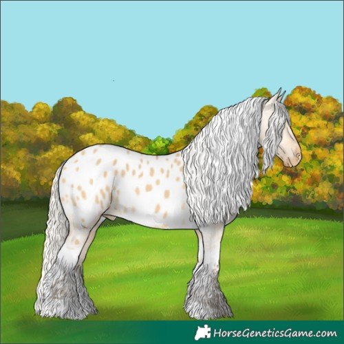 Horse Color:Silver Buckskin Dun Tobiano Blanket Rabicano 