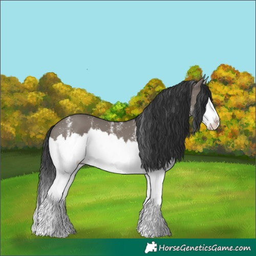 Horse Color:White Spotted Grullo Splash 
