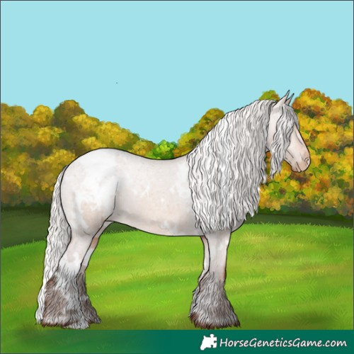Horse Color:White Spotted Silver Bay Dun Appaloosa 