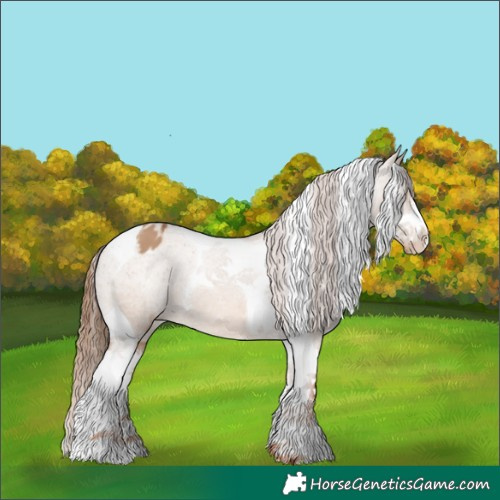 Horse Color:Red Dun Sabino Tobiano Appaloosa 
