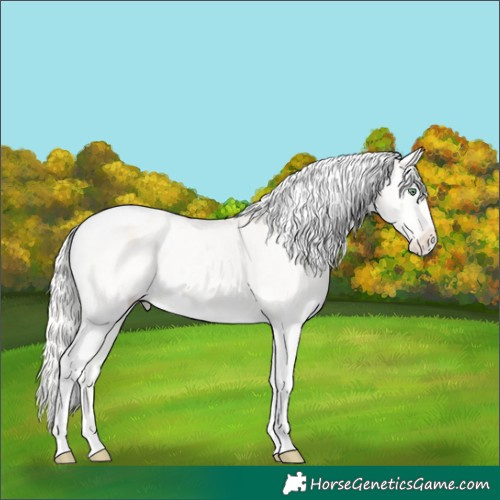 Horse Color:Silver Perlino Onyx Tobiano Appaloosa 