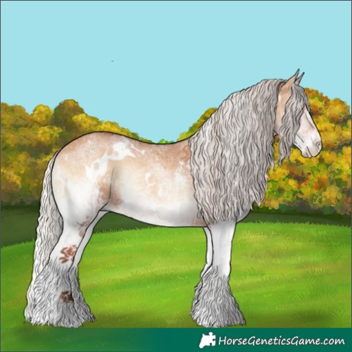 Horse Color:White Spotted Silver Bay Onyx 