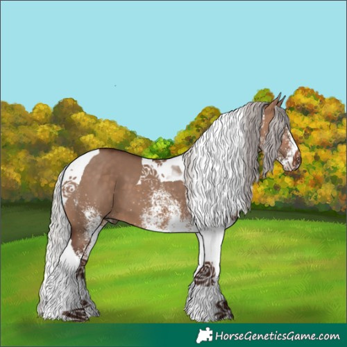Horse Color:White Spotted Silver Bay Dun Tobiano 