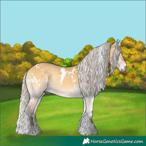 Horse Color:White Spotted Silver Buckskin Onyx Rabicano 