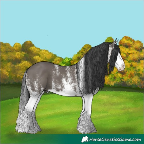 Horse Color:White Spotted Grullo Splash 
