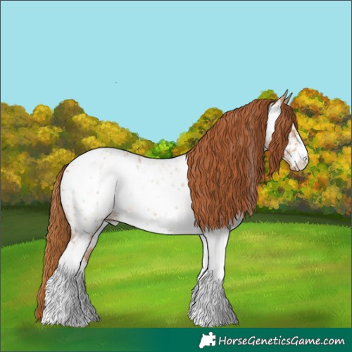Horse Color:Red Dun Ice Sabino Tobiano Near Leopard 