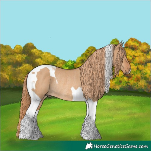 Horse Color:Red Dun Tobiano Rabicano Brindle 