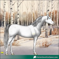 Horse Color:Liver Red Onyx Sabino Splash