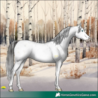 Horse Color:Liver Red Onyx Sabino Splash
