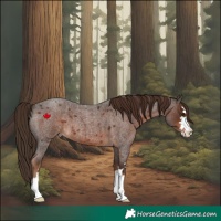 Horse Color:Liver Red Roan 