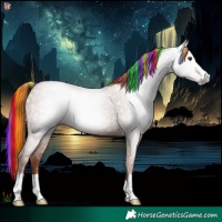 Horse Color:Gray Painted Chestnut