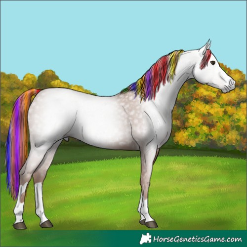 Horse Color:Gray Painted Chestnut 