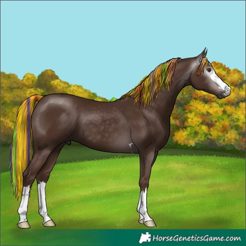 Horse Color:Gray Painted Chestnut 