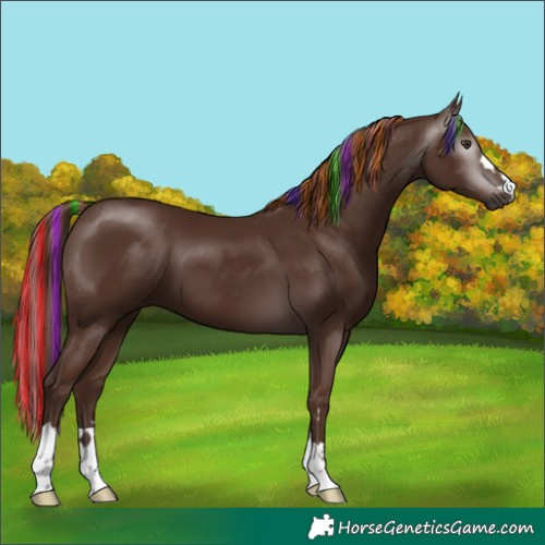 Horse Color:Gray Painted Chestnut 