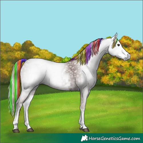 Horse Color:Gray Painted White Spotted Chestnut 