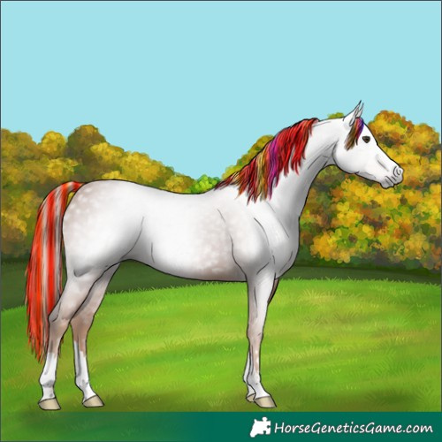 Horse Color:Gray Painted Chestnut 