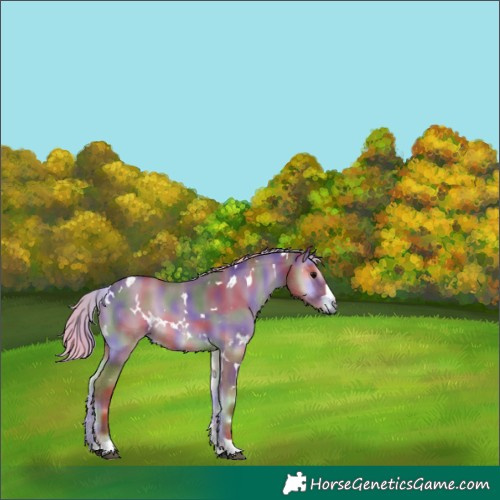Horse Color:Nacre White Spotted Silver Blue Onyx