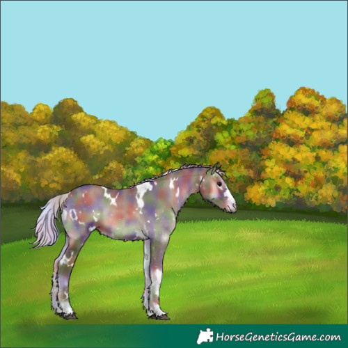 Horse Color:Nacre White Spotted Silver Blue Onyx 