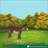 Horse Color:Liver Chestnut Mushroom Tobiano 