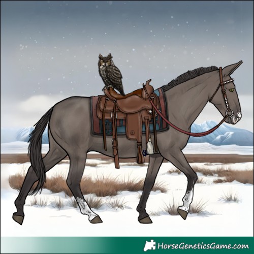 Horse Color:Smoky Grullo Sabino 