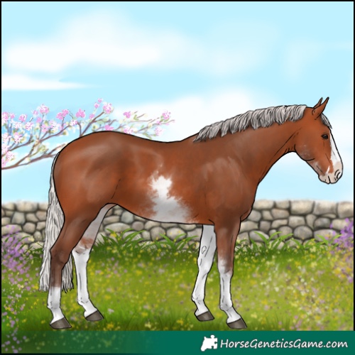 Horse Color:White Spotted Silver Bay Splash 