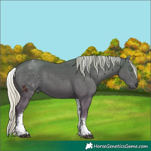 Horse Color:White Spotted Silver Smoky Black Tobiano 