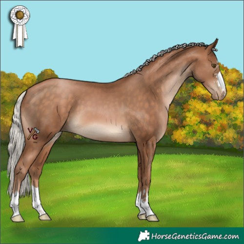 Horse Color:Silver Brown Pearl 