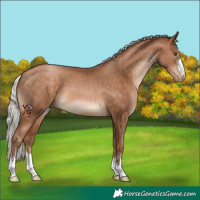 Horse Color:Silver Brown Pearl