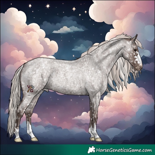 Horse Color:Silver Blue Roan Appaloosa 