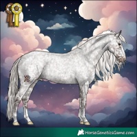 Horse Color:Silver Blue Roan Appaloosa 