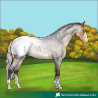 Horse Color:Silver Buckskin Roan Snowcap 