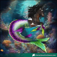 Horse Color:Gray Brown Tobiano Rabicano 