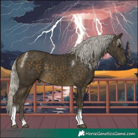 Horse Color:Silver Buckskin Tobiano 