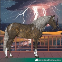 Horse Color:Silver Buckskin Tobiano 