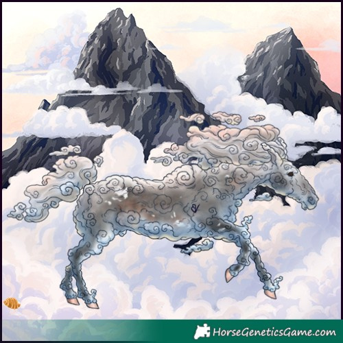 Horse Color:Gray White Spotted Silver Brown Rabicano 