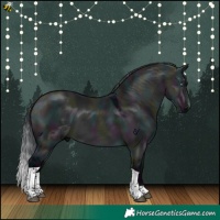 Horse Color:Midnight Brown Chinchilla Dun Tobiano 